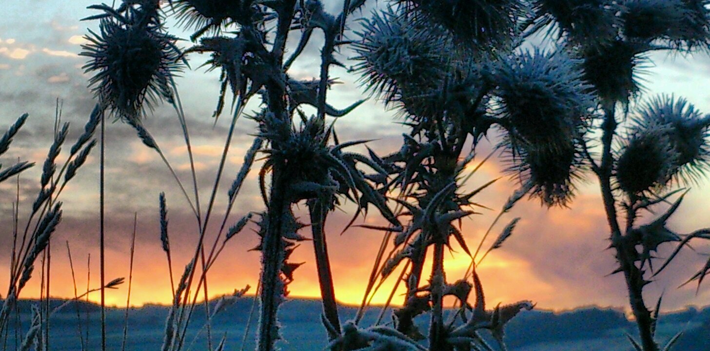 Jayneyron's profile banner image