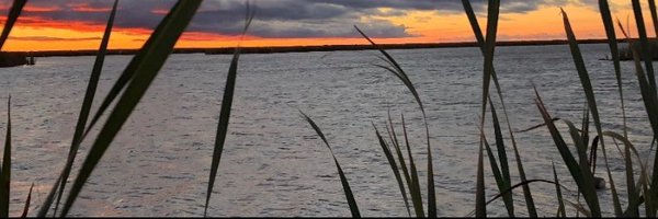 shawnwicshmeier Profile Banner