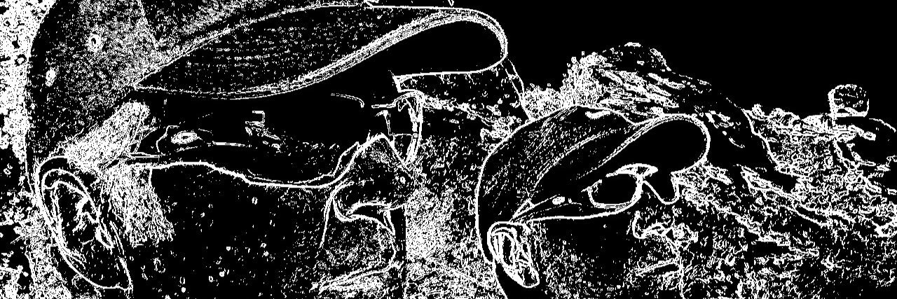 TheFrancs's profile banner image