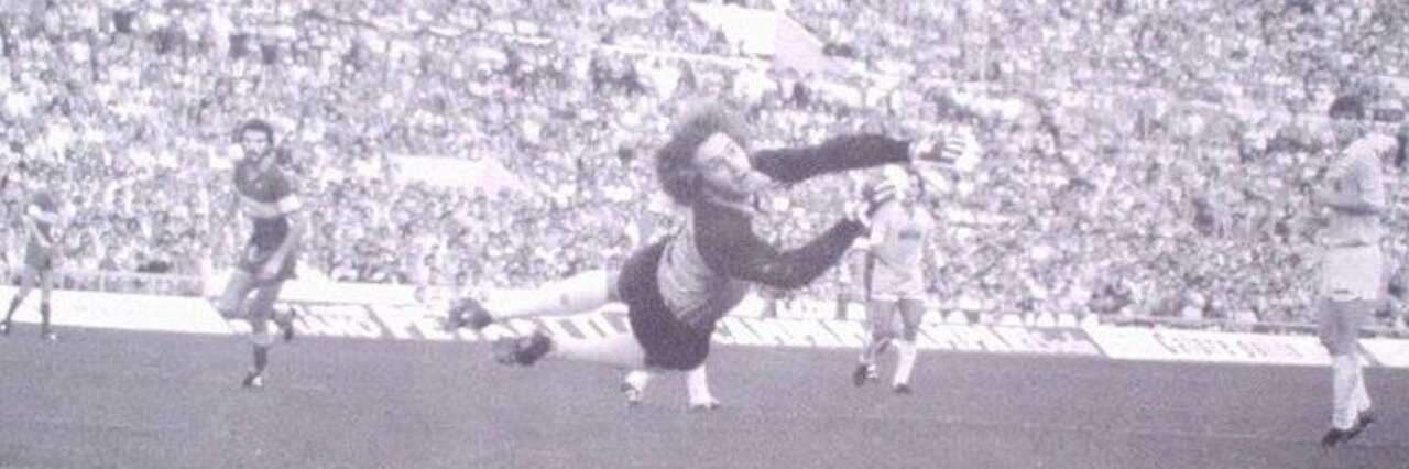 Fernando Orsi banner