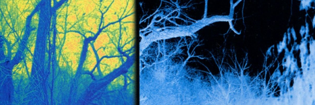 Jake From Snake Farm banner