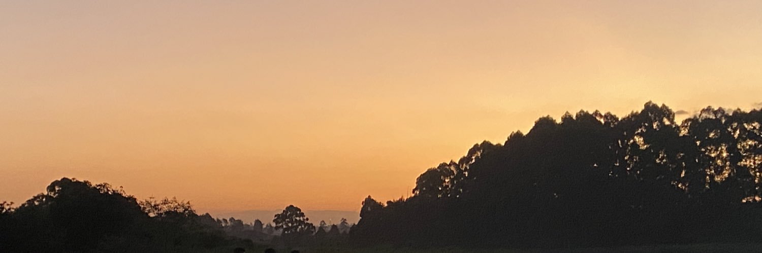 _chebiwott's profile banner image