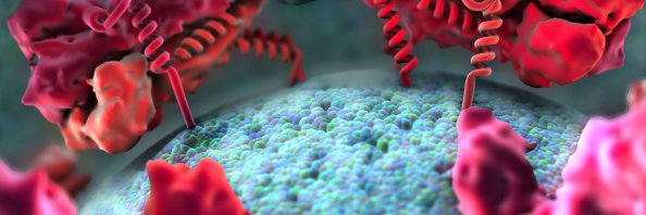 Cambridge Infectious Diseases IRC banner