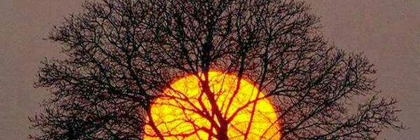 zlyh89's profile banner image
