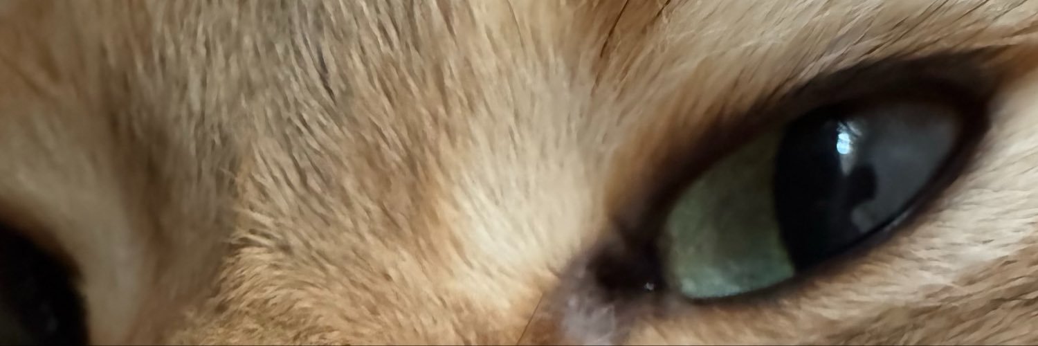 catandhearts's profile banner image