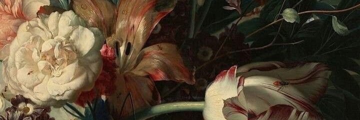 CollinWrightCHR's profile banner image
