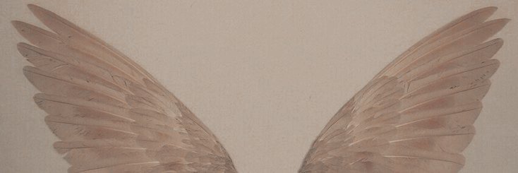 THELVCKY1's profile banner image