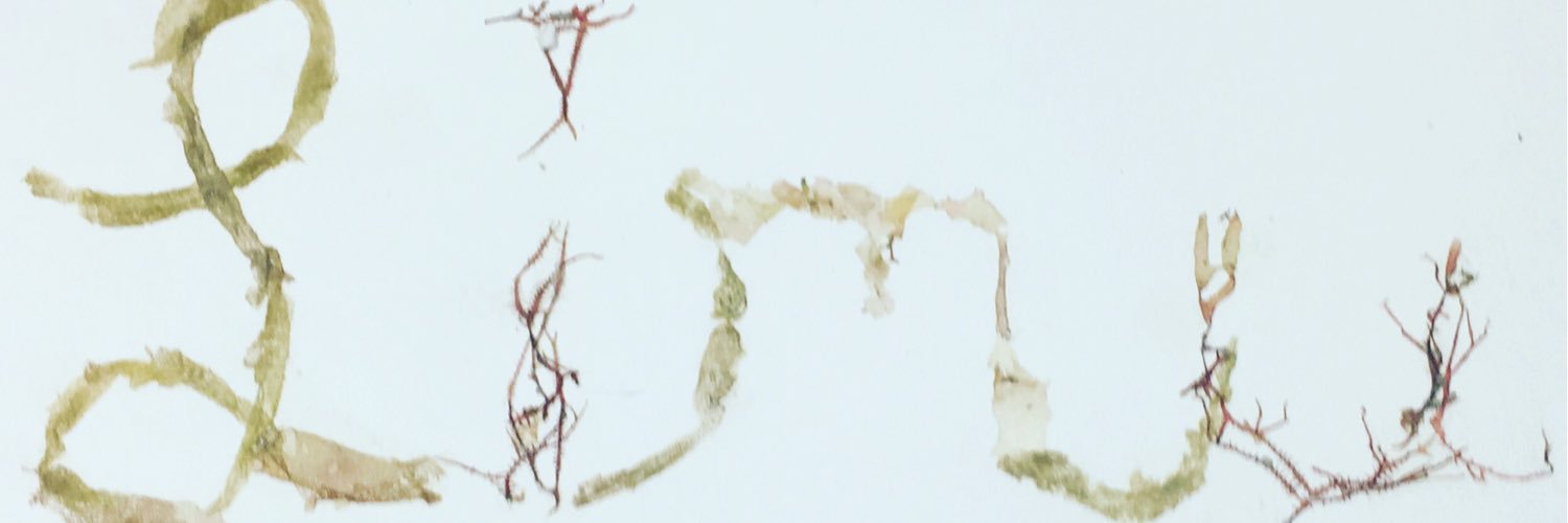 Rachael Wade, PhD banner