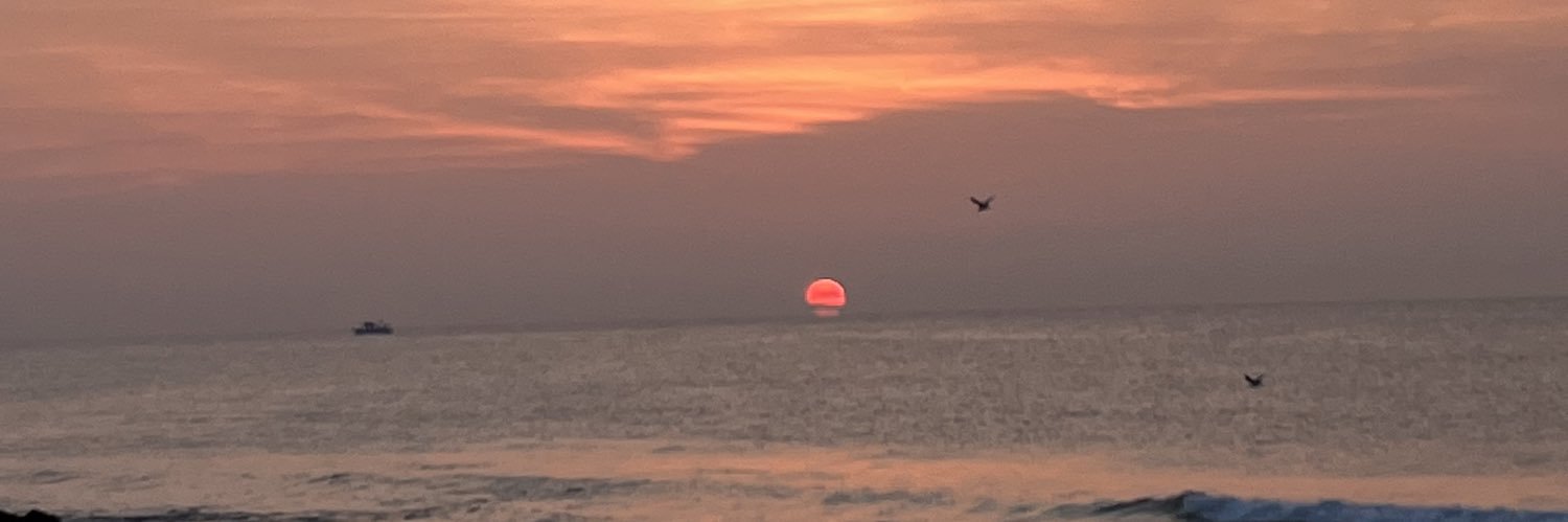 taylor_marjamaa's profile banner image