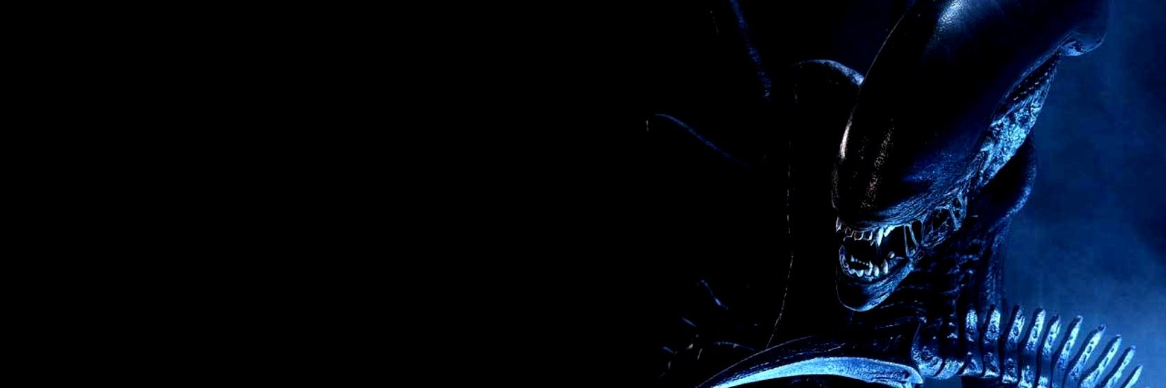 ZeesHouse's profile banner image