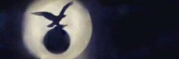 curinico's profile banner image