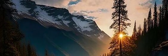 willi banner