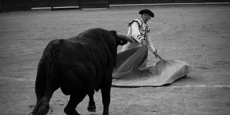 01Cuenca's profile banner image