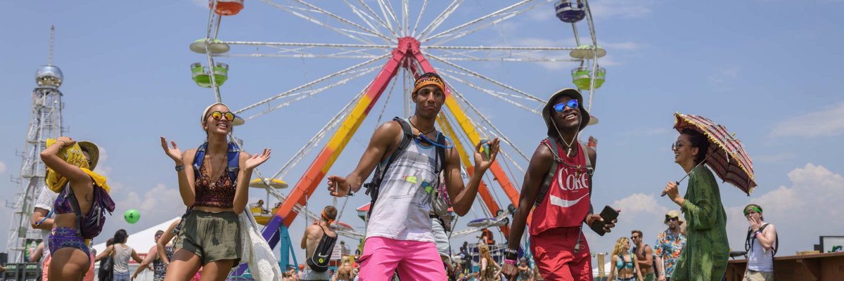 The Bonnaroo View banner
