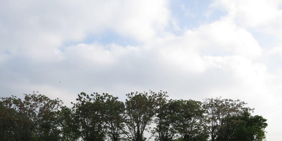 gretuskou_'s profile banner image