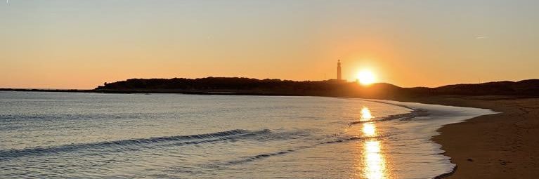 Álvaro Gómez banner