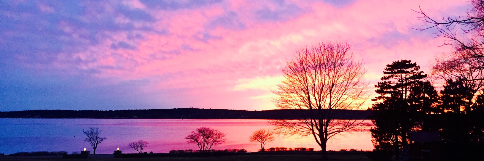 Colleen_Hayes's profile banner image
