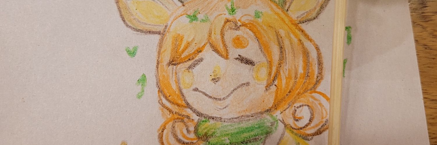 🌟˚˚°✦ Sotatopa ✦°˚˚🌟 banner