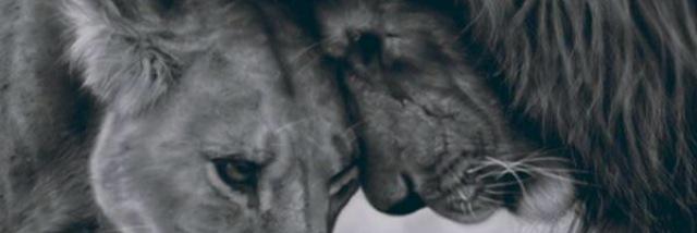 Matteight's profile banner image