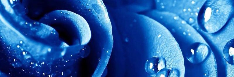 N1Noony's profile banner image