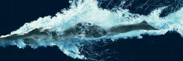 RichardSwimm's profile banner image
