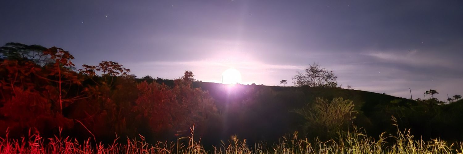 brianaparesqui's profile banner image