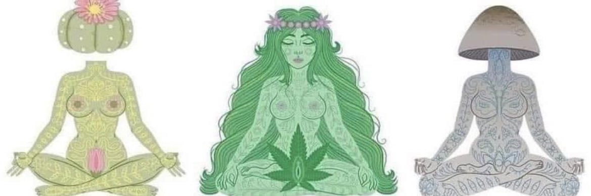 AliyahARG's profile banner image
