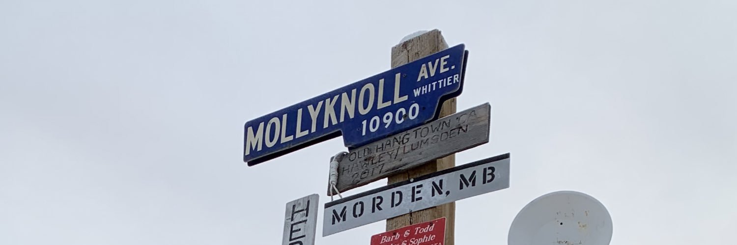 MollyJeanSimich's profile banner image