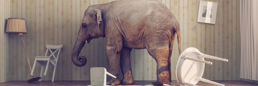 The One Who Knocks 🏰🌾 banner