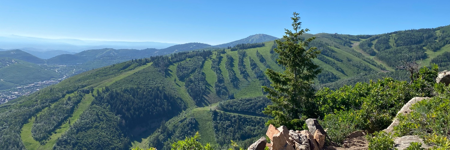 Rich Patterson banner