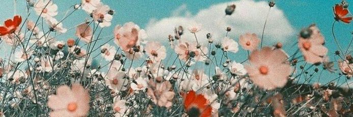 kamyar_235's profile banner image