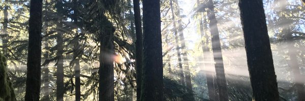 bess9 Profile Banner