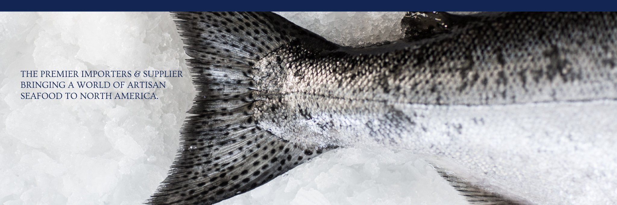 WheelerSeafood's profile banner image