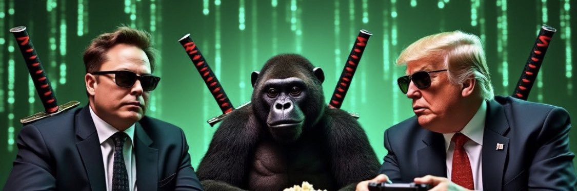 CryptoTiger 589 banner