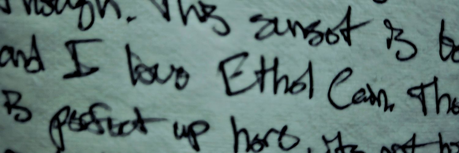 gatito 🐕‍🦺 banner