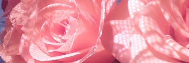 FayeWednesday's profile banner image