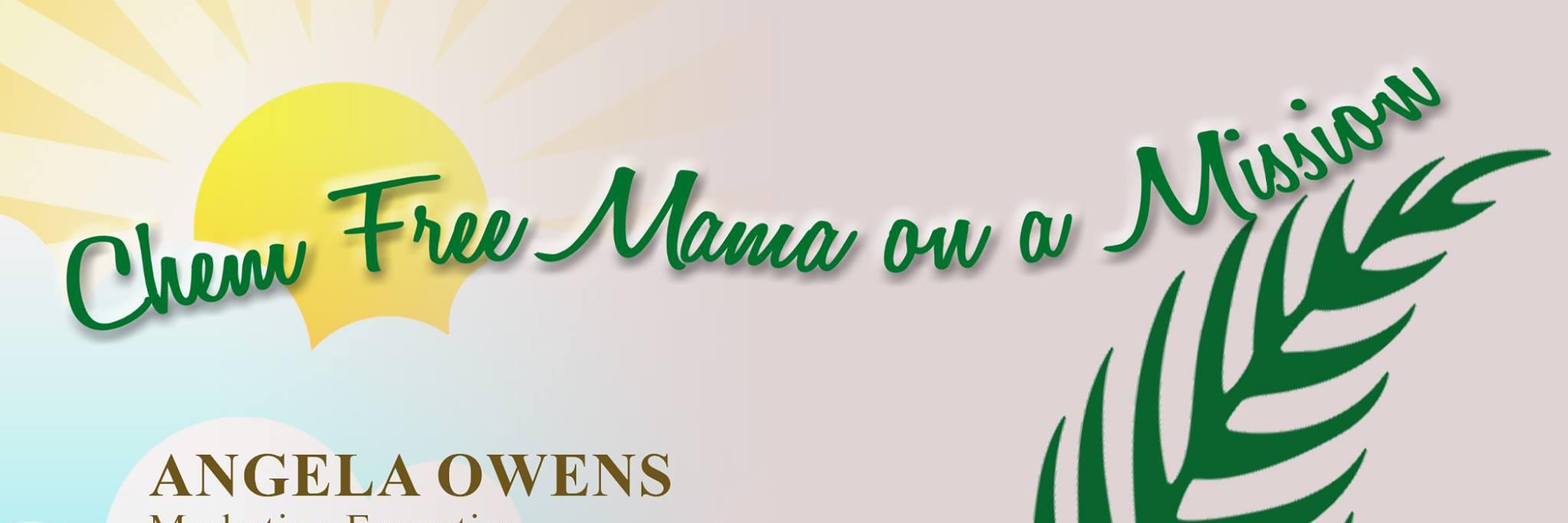 ChemFreeMOM's profile banner image