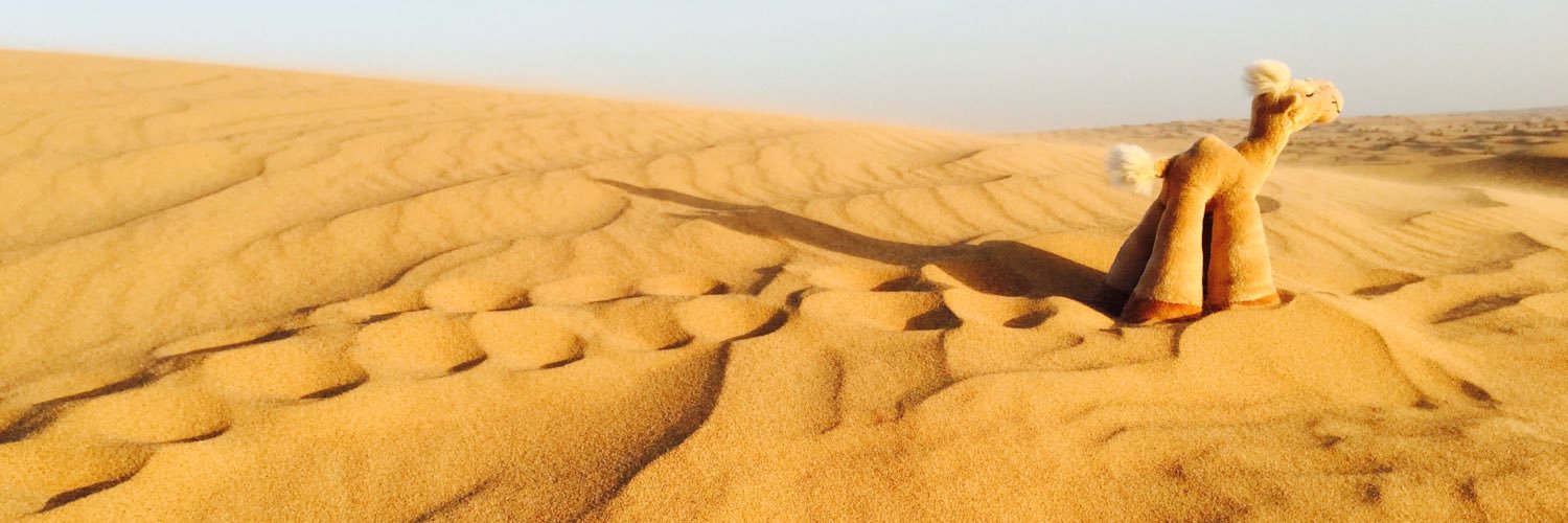 ElijahTorok's profile banner image