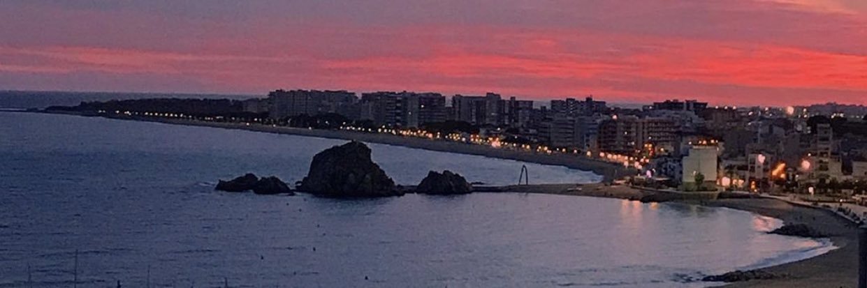 Anna Solé 🙋🏼‍♀️ banner