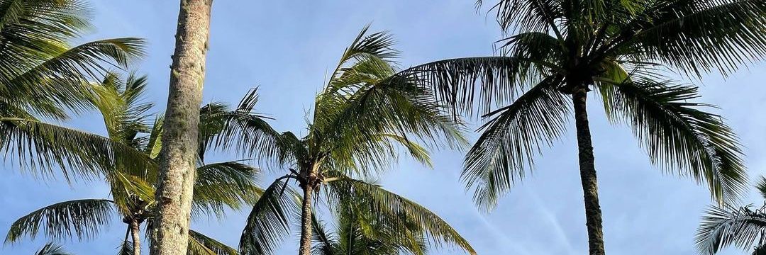 lelee_gs's profile banner image
