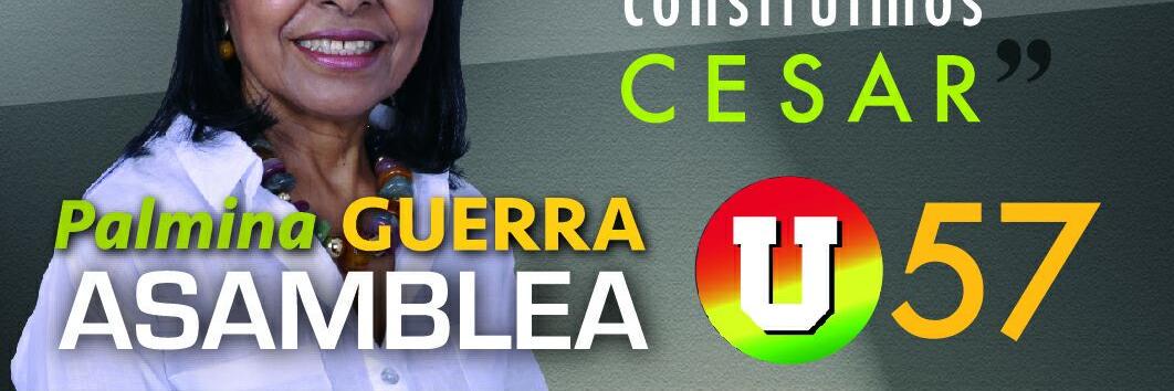 palquema's profile banner image