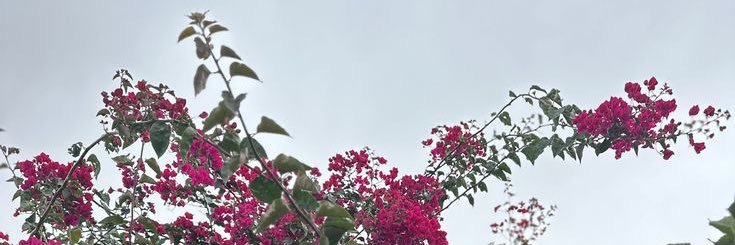 esms79's profile banner image