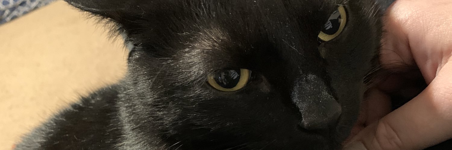 bethnerdasaurus's profile banner image