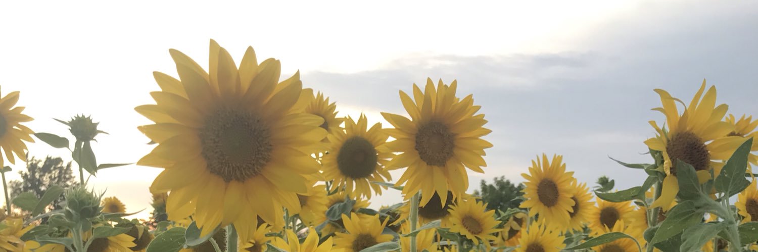maya_clawson's profile banner image