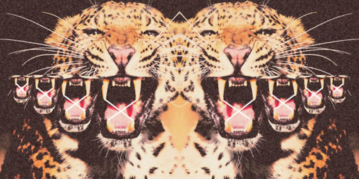 Shanthatbitchh's profile banner image