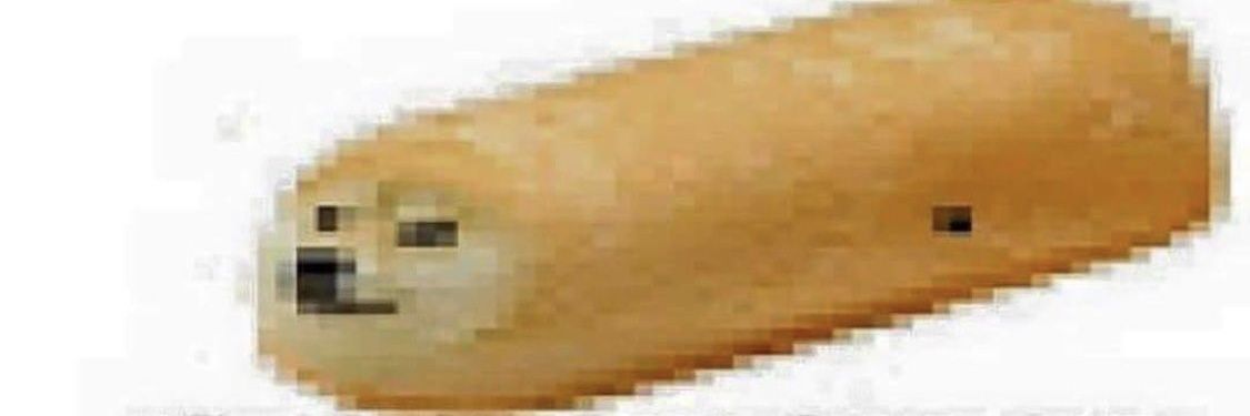 walking_flaw's profile banner image