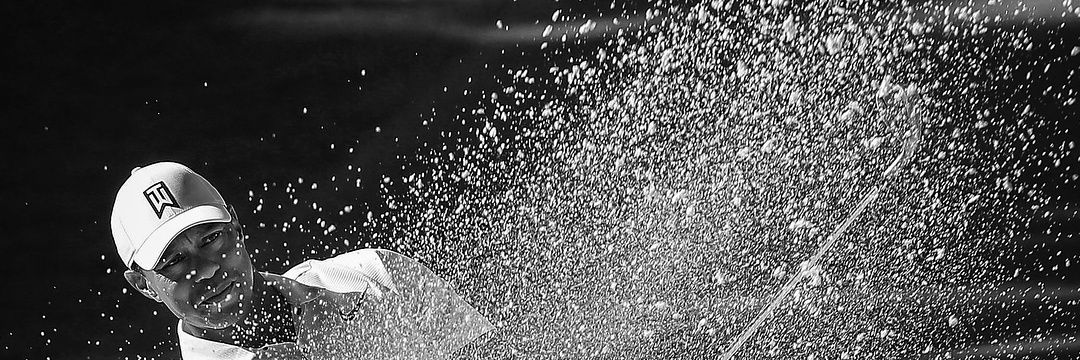 radityoaryo's profile banner image