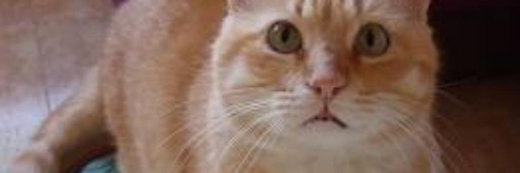makaymg89's profile banner image