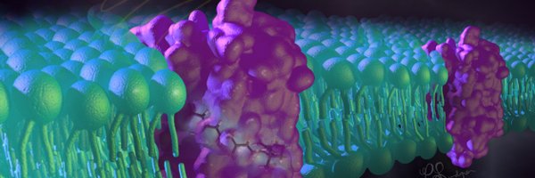 zhulinlab Profile Banner