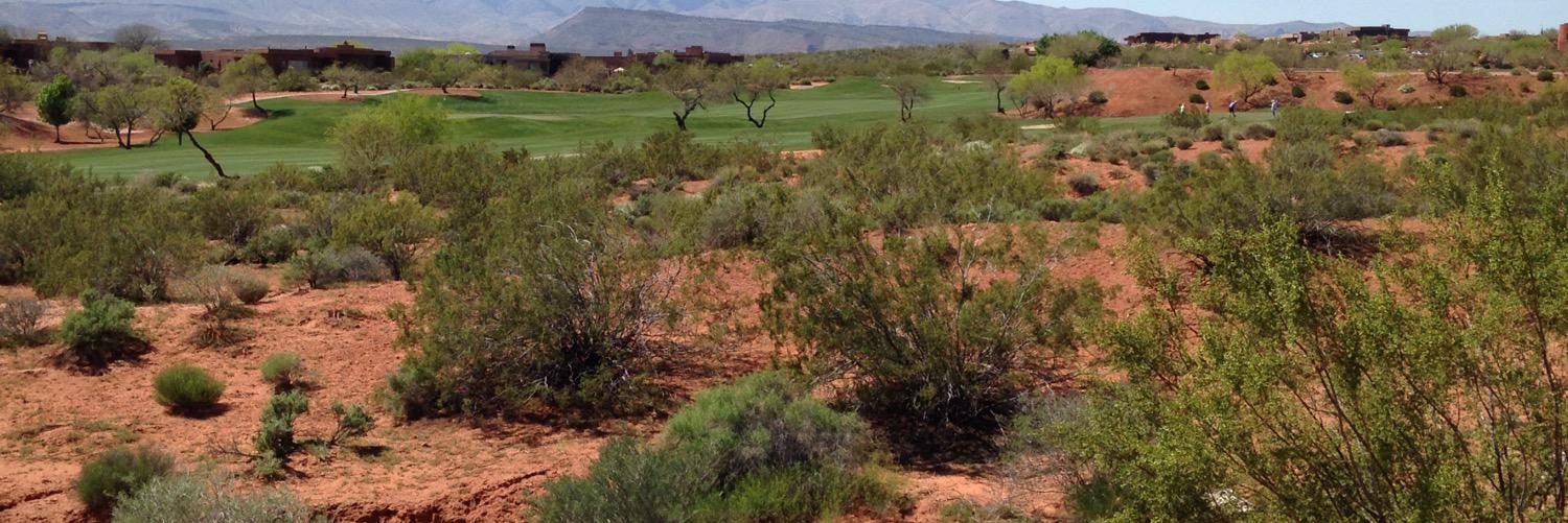 golfool23's profile banner image